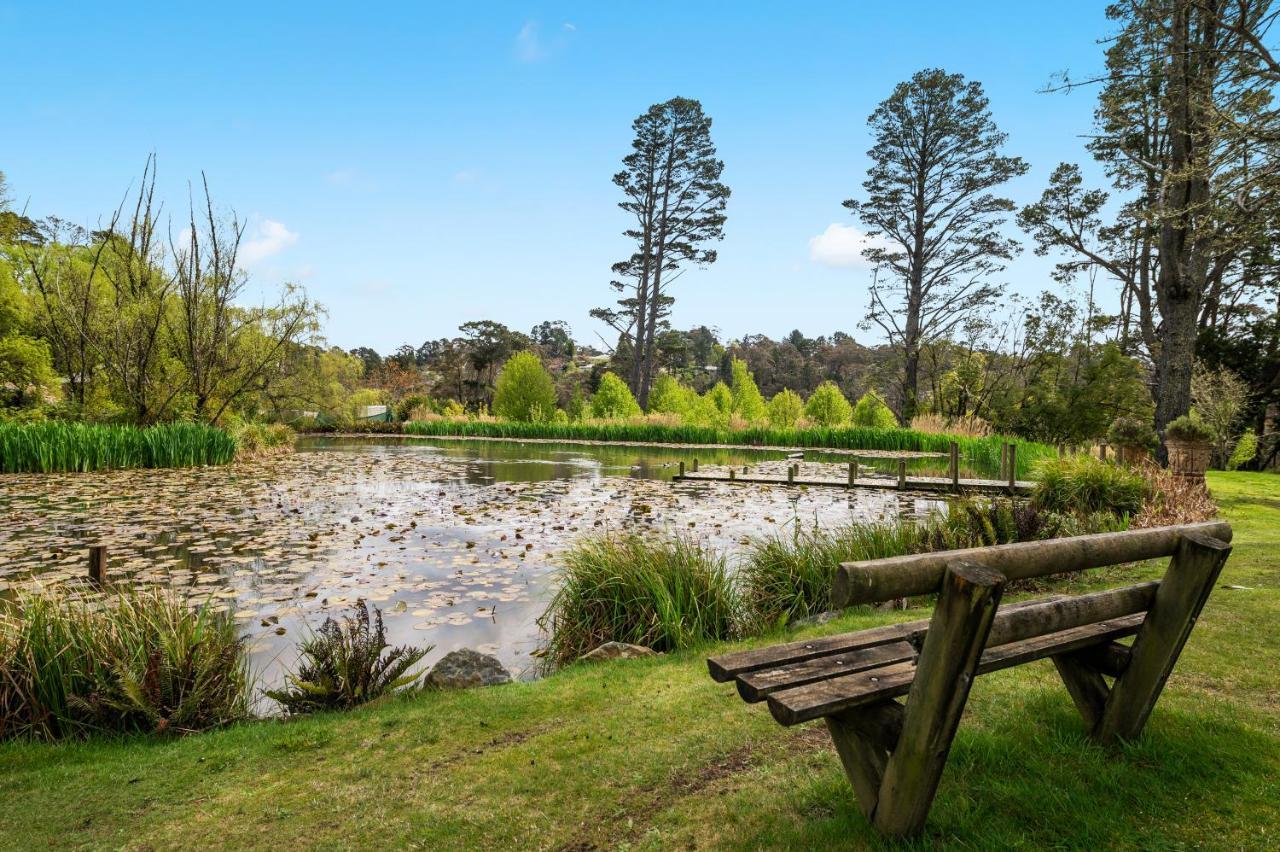 Parklands Country Gardens & Lodges Blue Mountains Blackheath Exterior foto